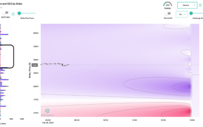 Informe Option Levels