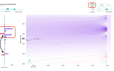Informe Option Levels