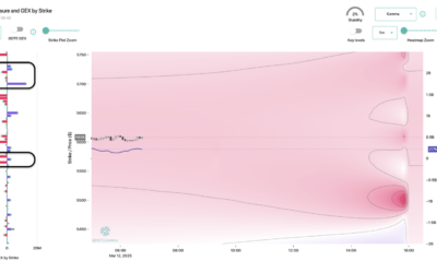 Informe Option Levels