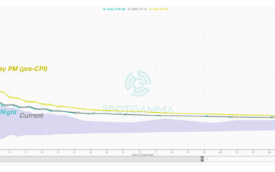 Informe Option Levels