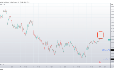 Informe Option Levels