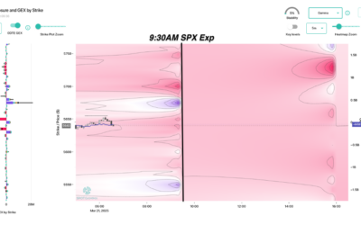 Informe Option Levels