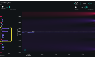 Informe Option Levels