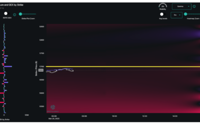 Informe Option Levels