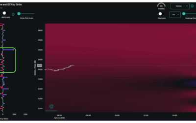 Informe Option Levels