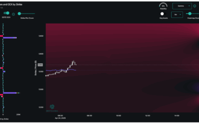 Informe Option Levels