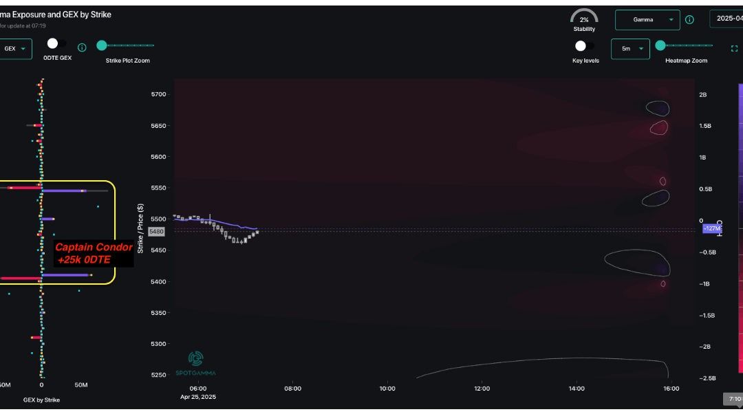 Informe Option Levels