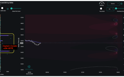 Informe Option Levels