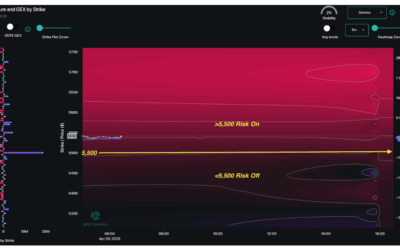 Informe Option Levels