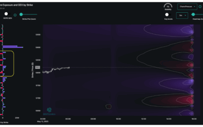 Informe Option Levels