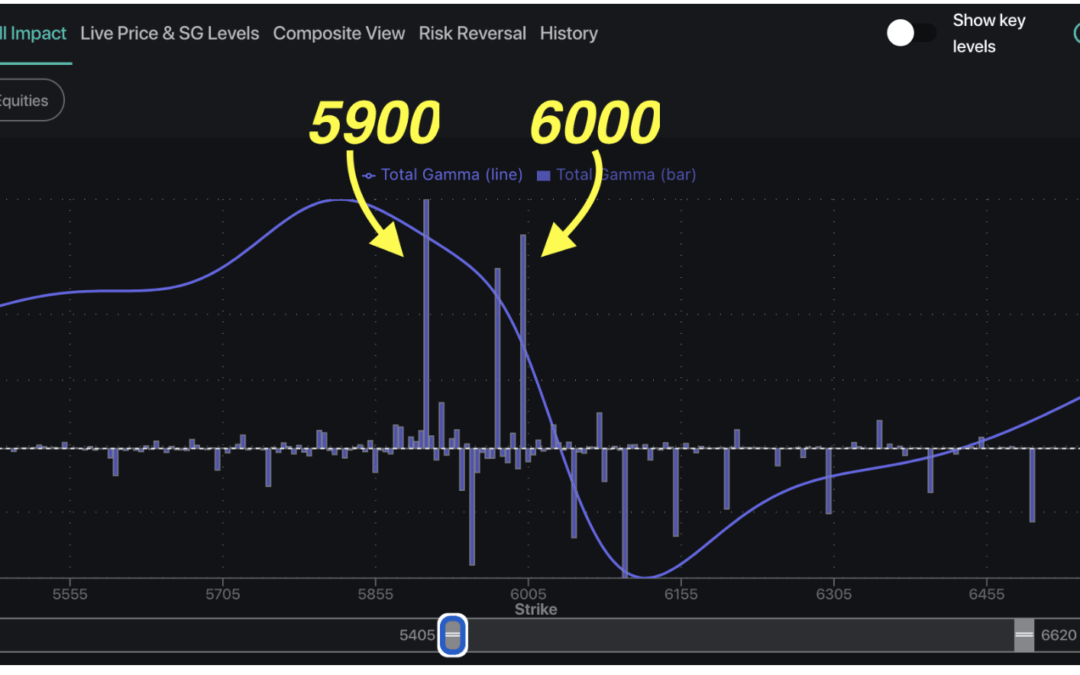 Informe Option Levels