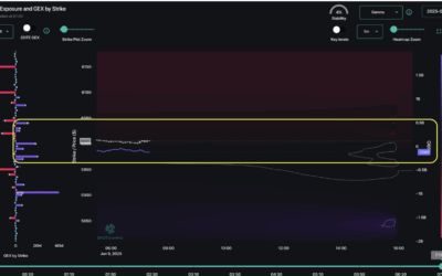 Informe Option Levels