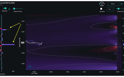 Informe Option Levels