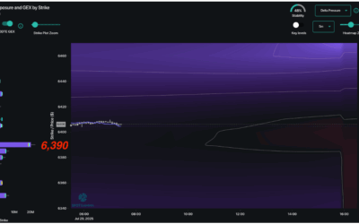 Informe Option Levels