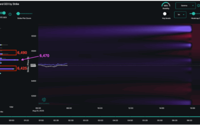Informe Option Levels