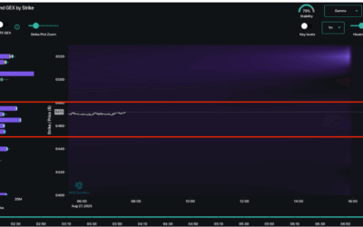 Informe Option Levels