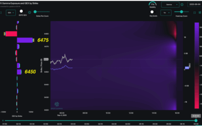 Informe Option Levels