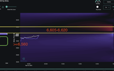 Informe Option Levels