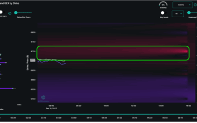 Informe Option Levels