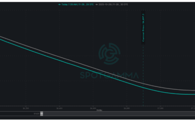 Informe Option Levels