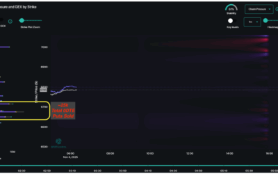 Informe Option Levels