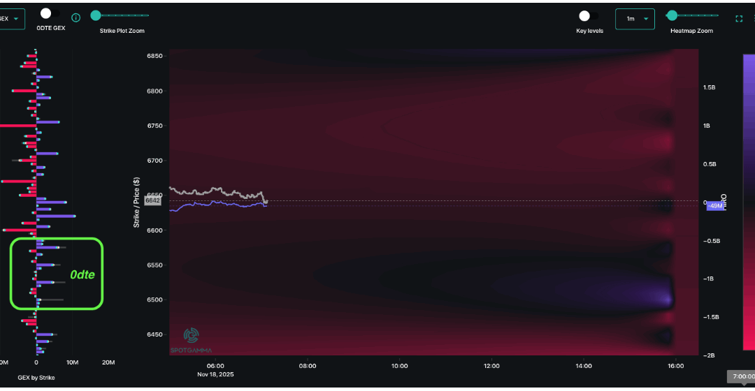 Informe Option Levels